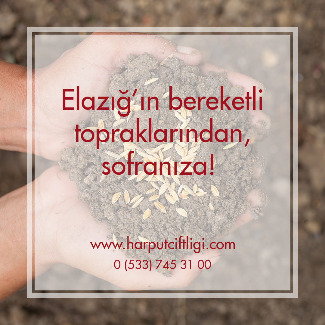 Elazığ’ın Bereketli Topraklarından, Sofranıza!
‘Tıpkı eski günlerdeki Doğallığında’

harputciftligi.com

#harputciftligi #guruomari #organikgida #doğalüretim #elazığ #elazığçiftlik #kurutulmuşbitki #kurutulmuşgıda #kuruyemiş #bakliyat #organiktarim #kurutulmusdomates