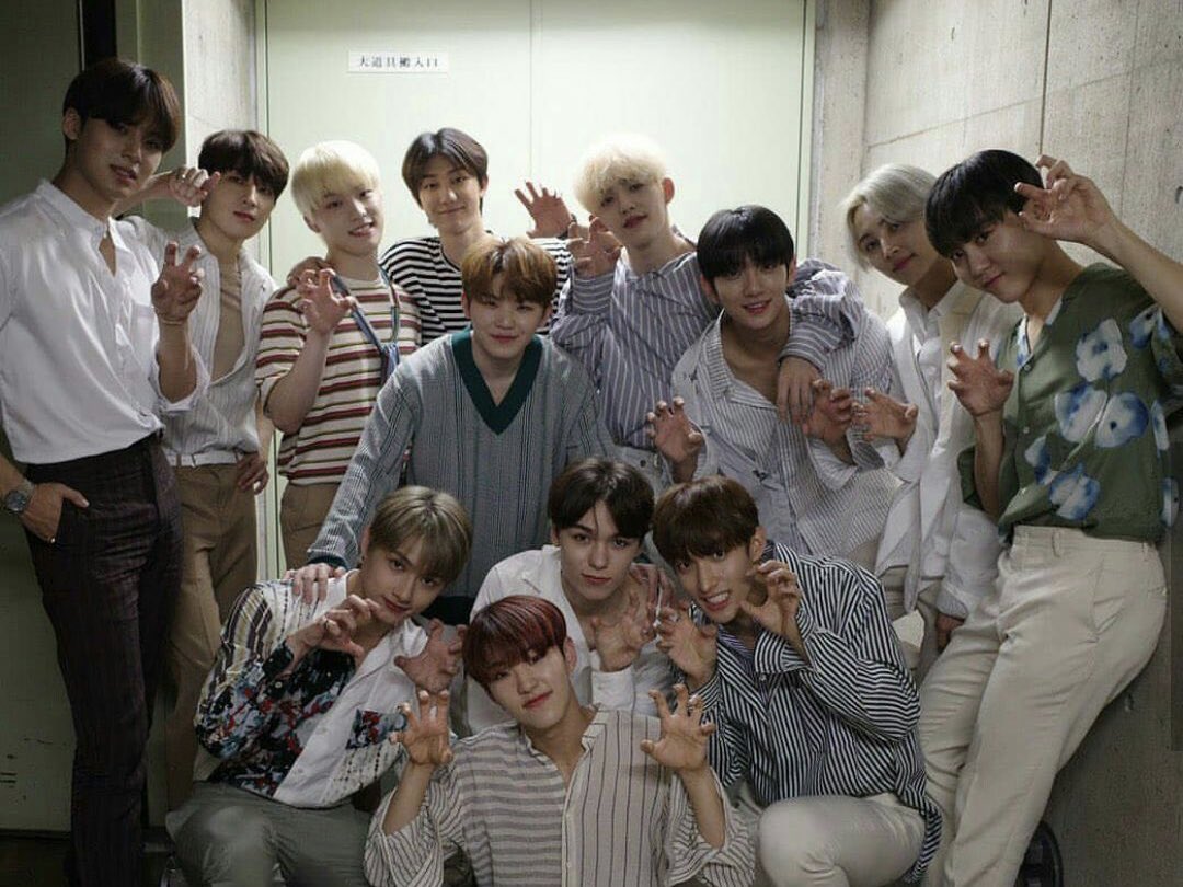 soonhoonthings's tweet photo. https://t.co/jxiwwhgPm1