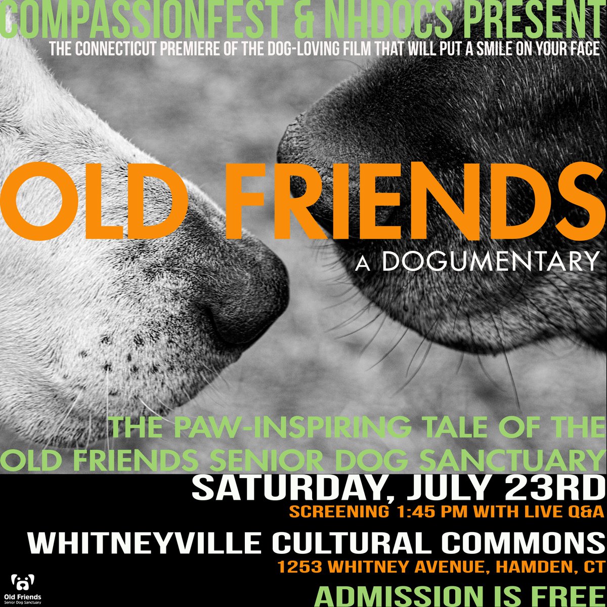 For all our followers in Connecticut...! 🎥 @CompassionCT @GormanBechard #OFSDS #OldFriendsADogumentary #SeniorDogs #Dogs