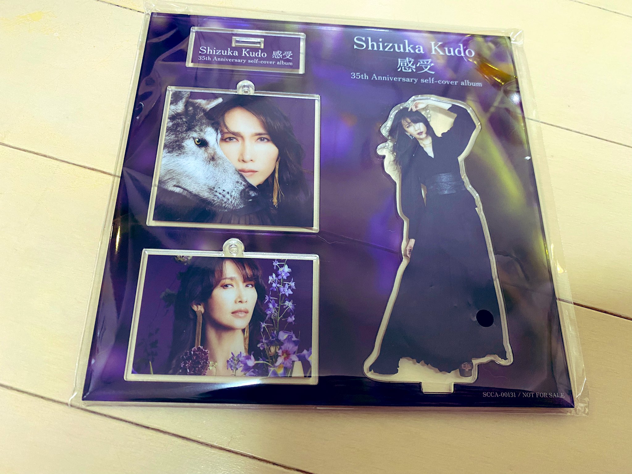 工藤静香 感受/限定版BOX