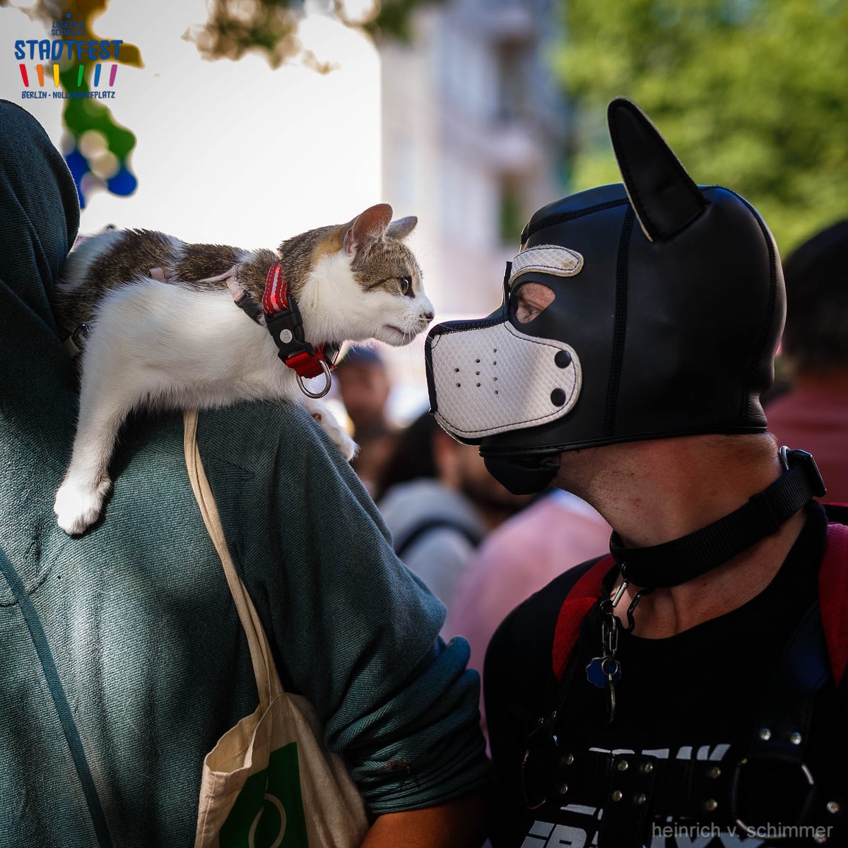 Ein Sonntagsschuss (auch im wörtlichen Sinne) vom Stadtfest. Mehr hier:  facebook.com/media/set/?set…
Und die Galerie vom Samstag: facebook.com/media/set/?set…