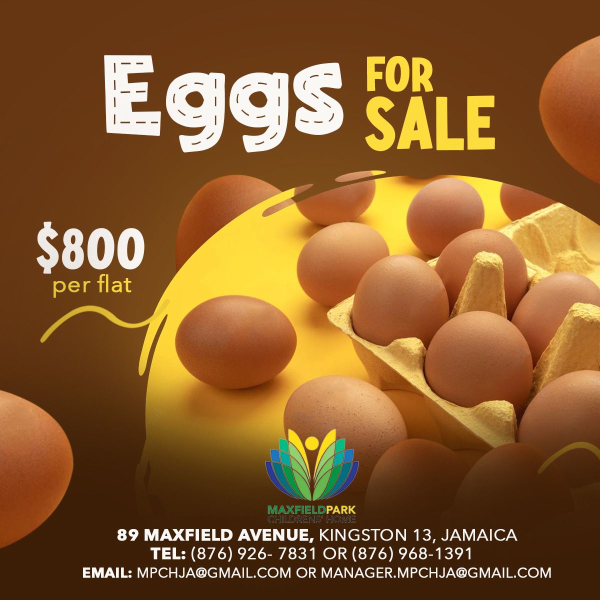 Please support the Maxfield Park Children's Home by purchasing eggs from the farm there.

Funds go directly to the institution.

Please RT