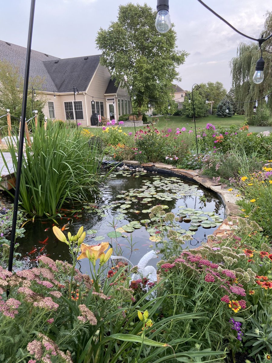 D. P. Reisig tweet media