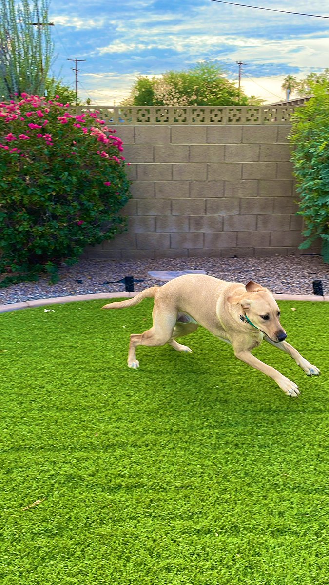 _siarabarreras's tweet photo. I hope your work day moves as fast as Dood is 😂 https://t.co/F63gYioYVp