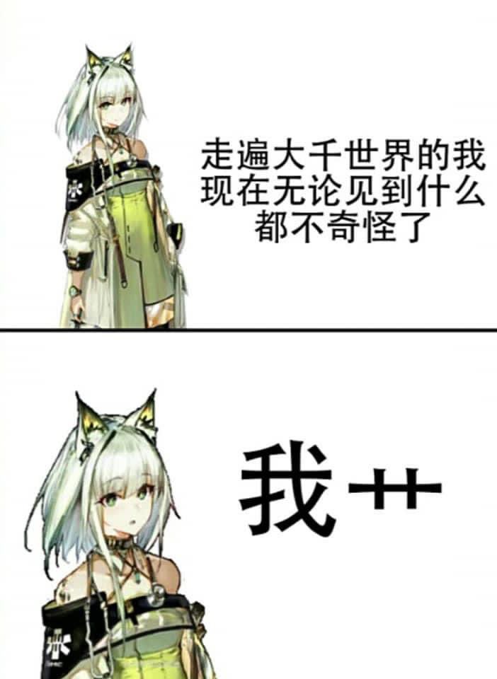 羽羯 tweet media