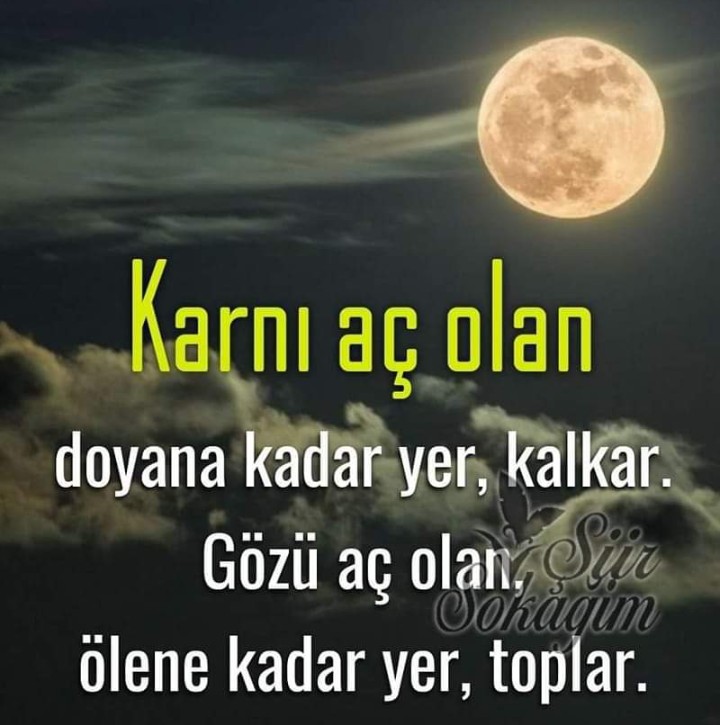 🦂🇹🇷Karadayı🇹🇷🐬 (@yunus021834) on Twitter photo 