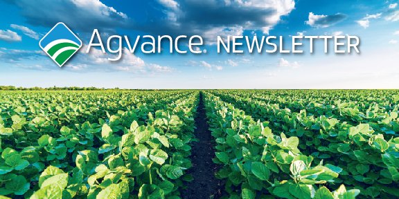 agvance's tweet photo. View the July #Agvance Solutions newsletter to learn about the refresh of the https://t.co/HkrFZLLRUL website. We look at the cyber-security panel for the 2022 conference & salute our graduates at SSI & those family members in our video tribute.
https://t.co/jCKwXkZmCT https://t.co/3esDAiKsvg