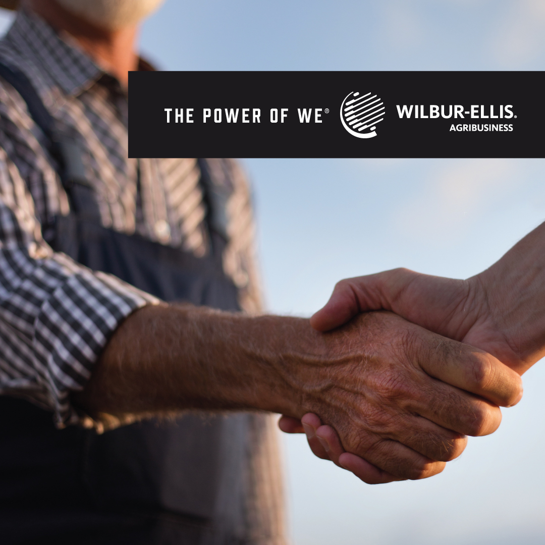 You aren’t facing today’s challenges alone. The Power of We®  means our local teams are ready for each of your farm’s unique needs. #WilburEllisAg #ThePowerofWe​

Learn more: ow.ly/R9c650JOVeb