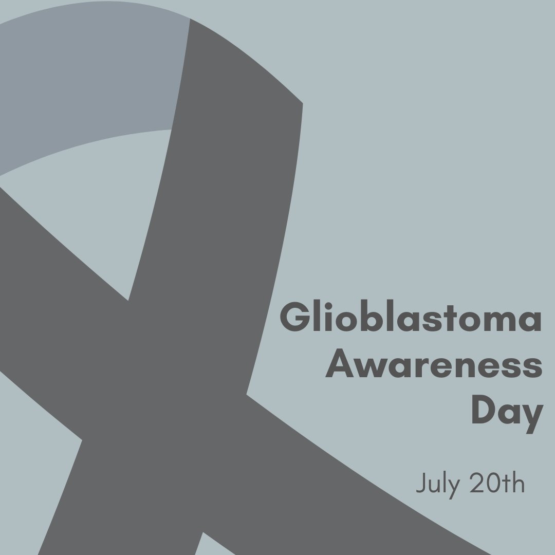 Glioblastoma Awareness Day (GBM Day) is dedicated to increasing public awareness of glioblastoma, the most common and aggressive form of brain cancer.