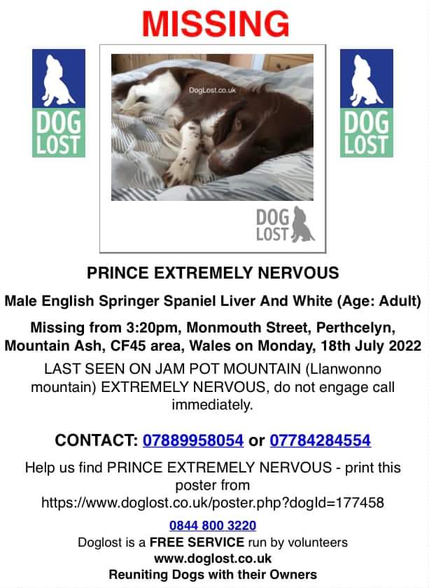joannew0112's tweet photo. ๐ฅ DO NOT ENGAGE WITH THIS DOG โผ๏ธ Pls keep an eye out for MISSING Prince, since 18/7/2022 ๐บ Prince got out from Monmouth Street, #Perthcelyn #MountainAsh #WALES CF45 ๐บ LAST SEEN ON JAM POT MOUNTAIN (Llanwonno mountain)
๐บ EXTREMELY NERVOUS, ๐ if seen https://t.co/4IalyMptmA https://t.co/9qyaUngNOh