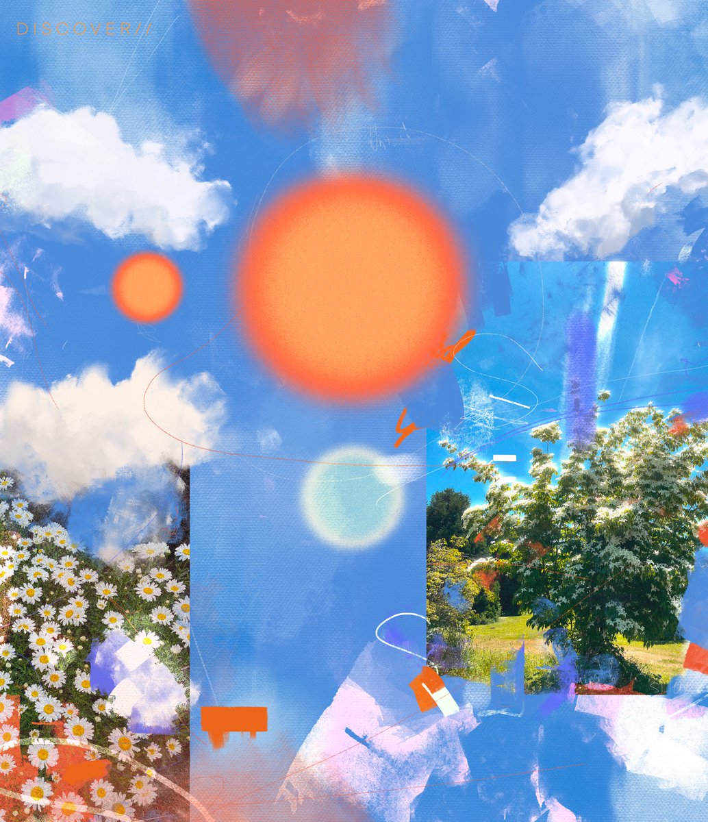 D I S C O V E R / / 🌤️🟠