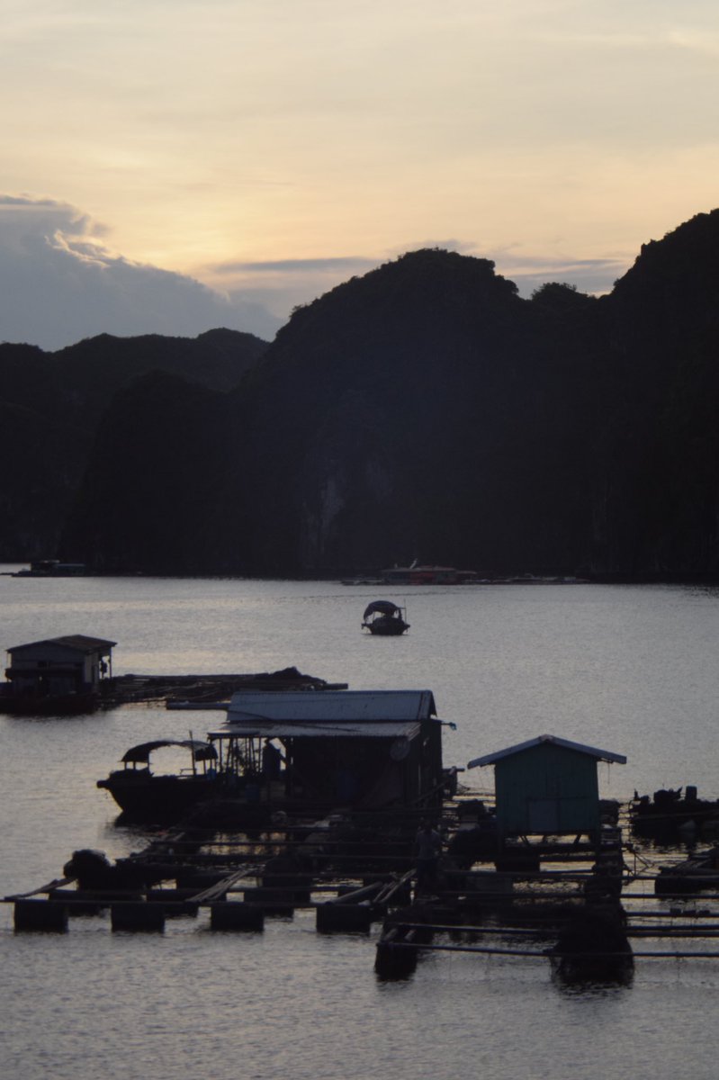 ppolrius's tweet photo. vietnam part1 https://t.co/7lBs7pg8yA