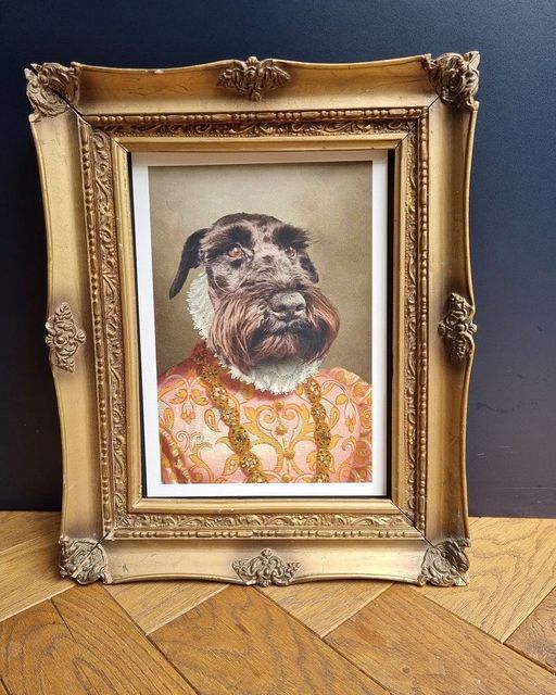 Everyone meet Máire, The Duchess. Thanks to @sharon_and_tracey for sharing this beautiful pawtrait of such royalty 😍🐾

#purrandmutt #petportrait #petart #petowners #petportraits #dogsofinstagram #personalisedgifts #petgifts #pets #animals #duchess #royalty #kingsandqueens #dogs
