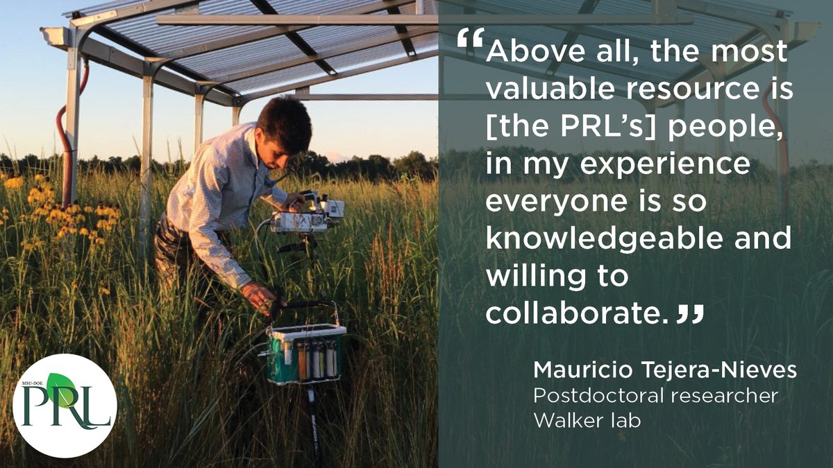 MSU-DOE Plant Research Laboratory (@msudoeplantlab) on Twitter photo Mauricio Tejera-Nieves from <a href="/BerkleyW6/">Berkley Walker</a>'s lab shares his experience as a postdoctoral researcher at the #MSUPRL. He studies the physiology in perennial grasses and serves as the PRL Postdoc representative to the faculty. buff.ly/3PnhnIC Mauricio Tejera-Nieves from <a href="/BerkleyW6/">Berkley Walker</a>'s lab shares his experience as a postdoctoral researcher at the #MSUPRL. He studies the physiology in perennial grasses and serves as the PRL Postdoc representative to the faculty. buff.ly/3PnhnIC