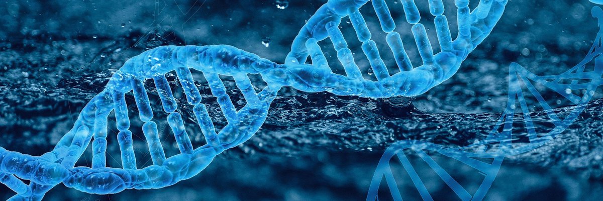 Web: …hthalmology.peersalleyconferences.com
Molecular interactions b/w pieces of DNA can drive the self-assembly of structures visible to the naked eye #eyeanatomy #Eyeallergy #eyeinfections #ophthamology #regenerativemedicine #lensdisorders #immunology #nanoopthalmology #glaucoma #biochemistry