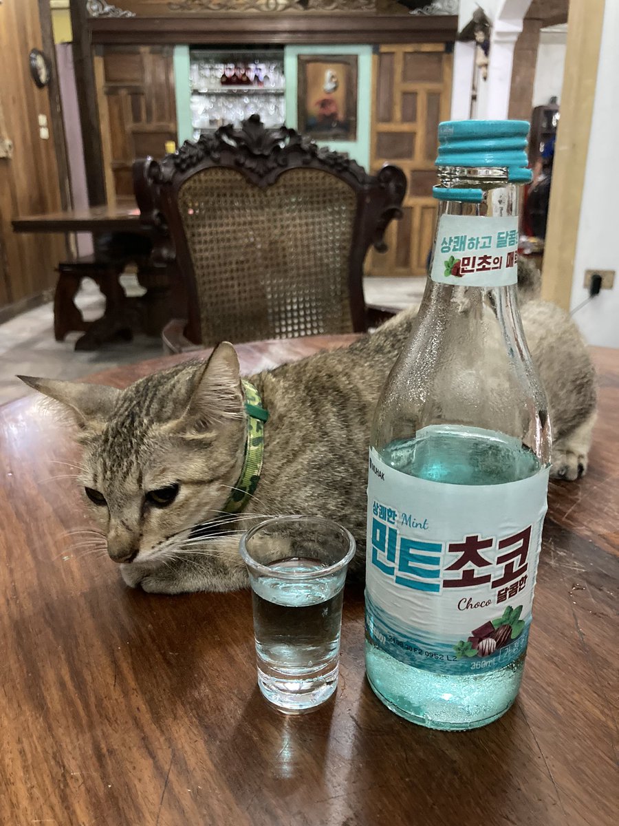 loritidine's tweet photo. Soju Night with my drinking buddy 😻😁 https://t.co/xIgnMKi6sj