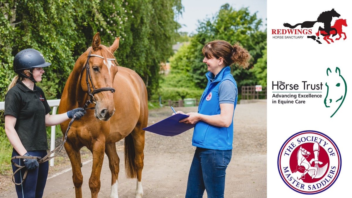 Andie McPherson tweet media