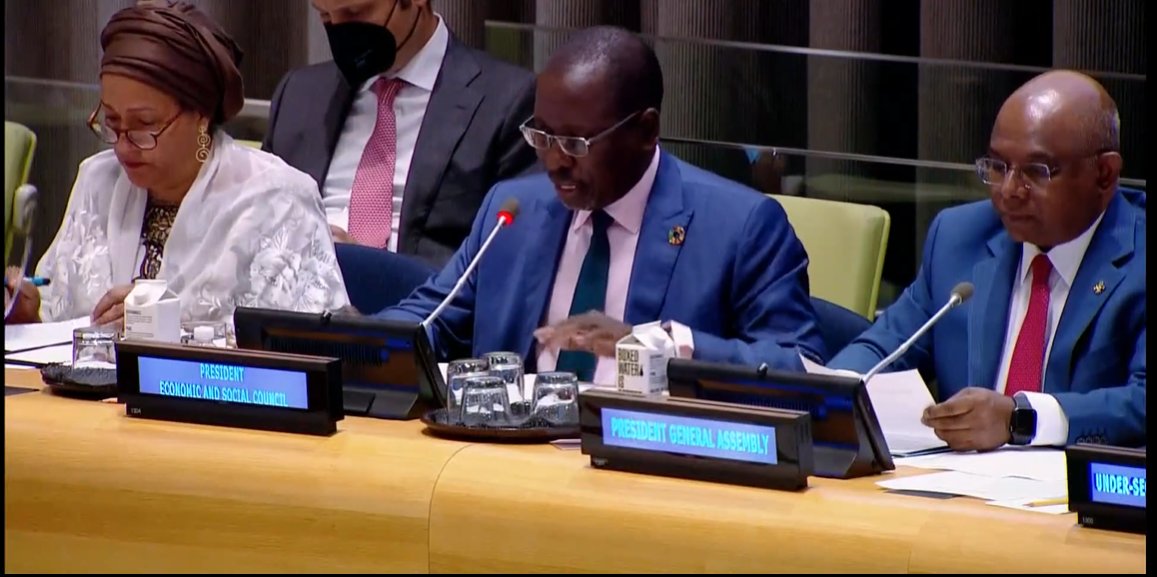 #HappeningNow! The High-Level Dialogue to assess progress in implementing #2030Agenda & the African Union #Agenda2063, as well as the delivery of commitments made towards #Africa’s development, hosted by @UN_PGA & @UNECOSOC. ⏲️10am - 6pm EST Watch live: media.un.org/en/asset/k1b/k…