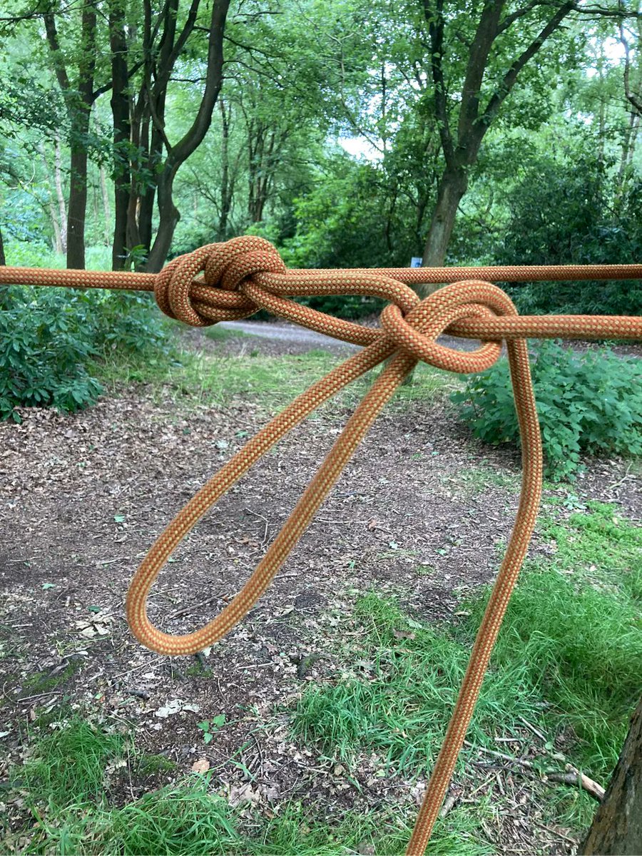 What knots do you use to secure your dens/shelters/hammocks to the trees?⛺️
#forestschool