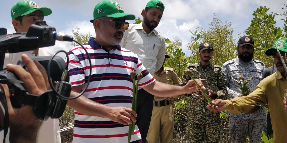 afiasalam's tweet photo. Thank u @sindhforestdept  &amp; @HqPmsa for letting me gatecrash your joint patrolling &amp; spot checking activity to safeguard our #Mangroves along #Karachi's coast. The green walls both side of the creeks are such a source of joy! @ShehzadSadiq6 @riazwagan @faisalsubzwari @QasimPort https://t.co/AQk8VW12Yt
