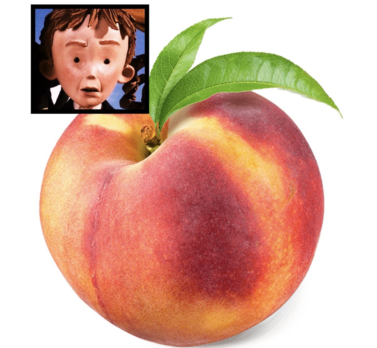 It’s time to ⚠️BeReal⚠️