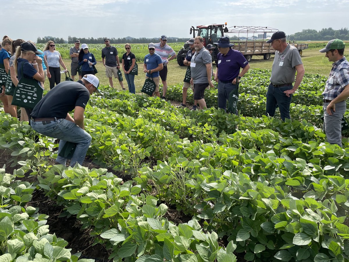 Bernard Tobin tweet media