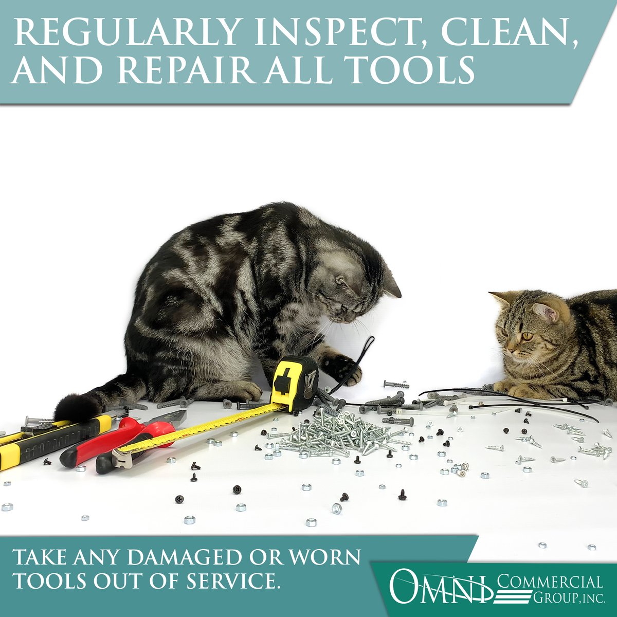 OmniCommercial1's tweet image. Proper tool maintenance is not only important for the sake of the equipment but can be helpful for the individual using the equipment. 
 #ToolMaintenance #ToolboxSafety #ToolboxTalks #OmniCommercialGroup #equipment