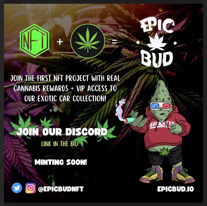 Epic Bud NFT tweet media