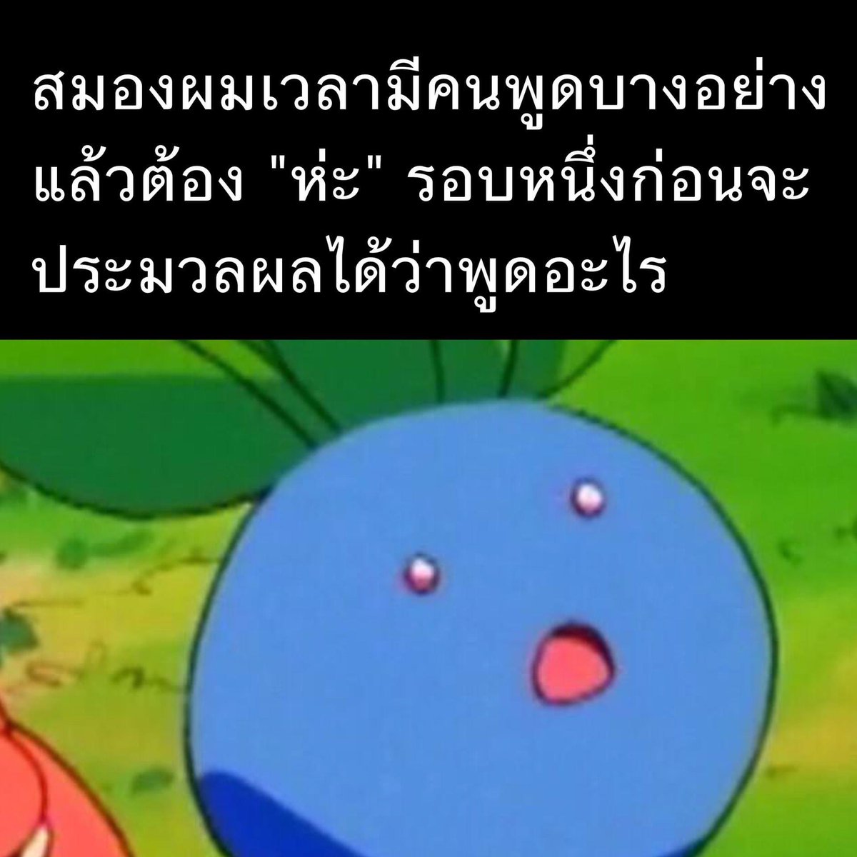 Dekchaikumkom's tweet image. เป็นประจำ🤣