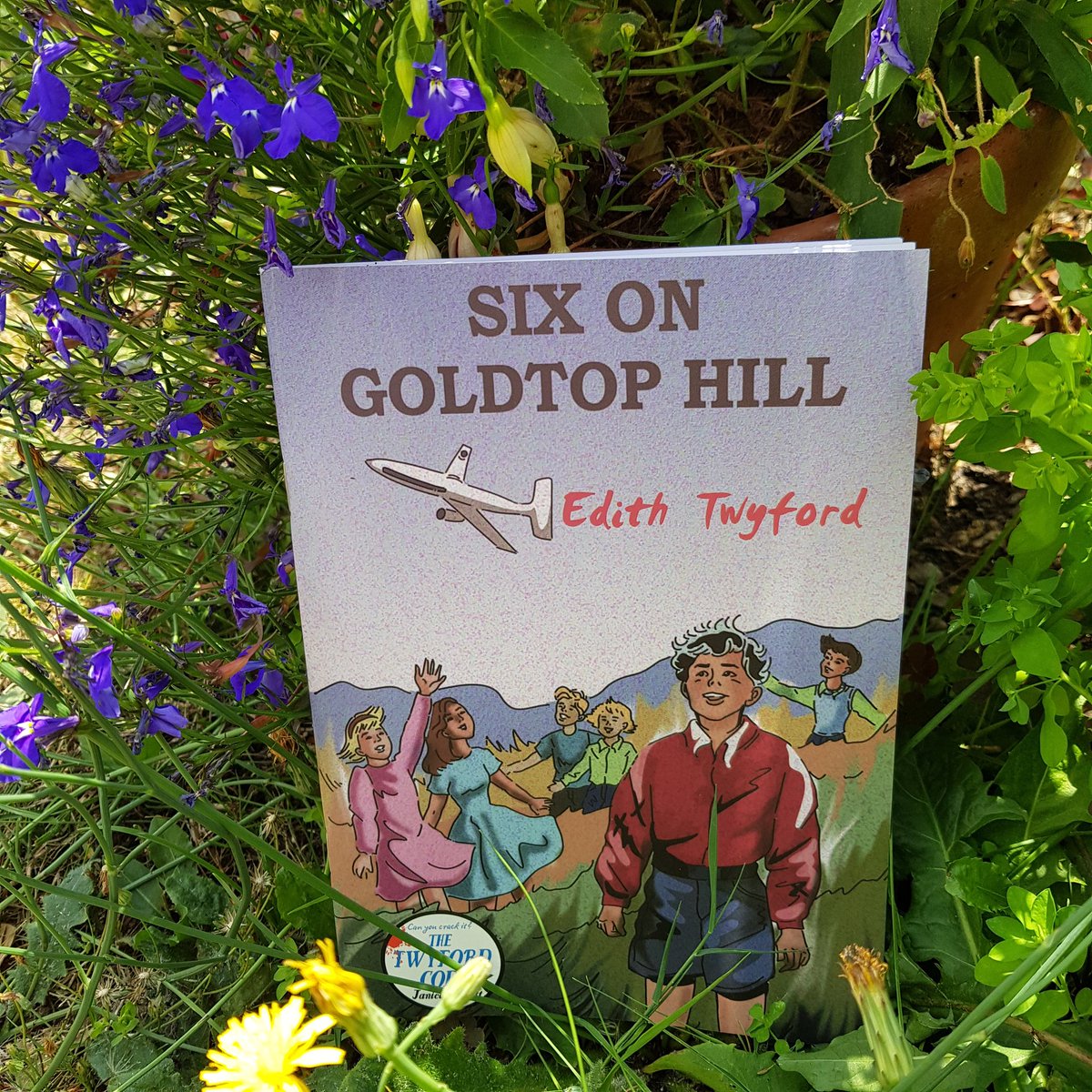 Good heavens, another one appears! 

#SixOnGoldtopHill

#TheTwyfordCode 
@JaniceHallett 
@ViperBooks