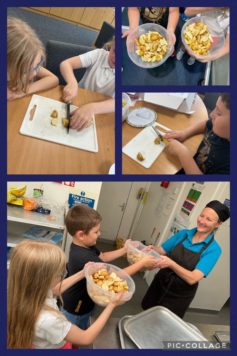 Percy Main Primary tweet media