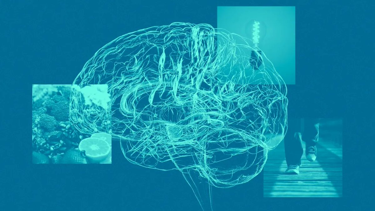 drummleadership's tweet photo. Feeling forgetful? Here are 5 easy ways to improve your memory according to science https://t.co/NWK0xfIdZu via @FastCompany #LeadershipDevelopment #leadership #business #ceo #manager #team #EffectiveLeadership #employees #leader #cognitivefunction #improveyourmemory #science https://t.co/rlAU7s3uMy