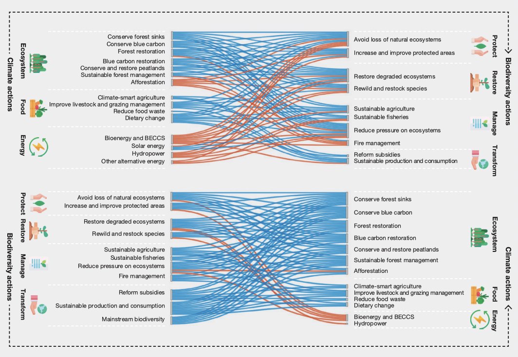 How are climate change and biodiversity loss linked? Can they be tackled together? 🌳📈

Check out the effects of different mitigation strategies in the graphic below 👀👇

Read more here 👉 carbonbrief.org/explainer-can-…