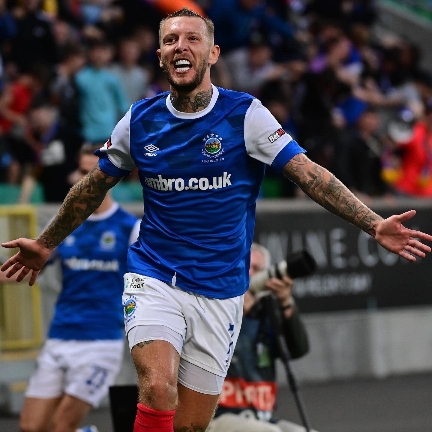 Linfield FC on X