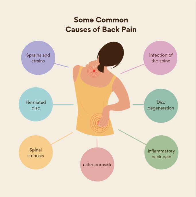 whelapp's tweet image. Do you suffer from back pain? We can help you!

Download the whel app or visit whel.app for more information.

#whel #CompriseHealth #health #pt #dpt #exercise #physicaltherapy #backpain