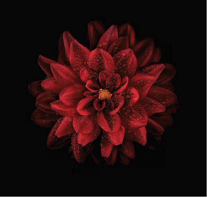 JeffreyRoberts3's tweet photo. #ProPhotoDaily @AmericanPhotog Open 2022: June Highlights From Our Judges https://t.co/j8U8po7ejA
Please visit our sponsors. @TamronUSA @SanDisk #shareyourworld @photoshelter @thephotocloser
Congratulations to Adam Neuba, Eric Thompson and John Vermette https://t.co/38UINzlKHz
