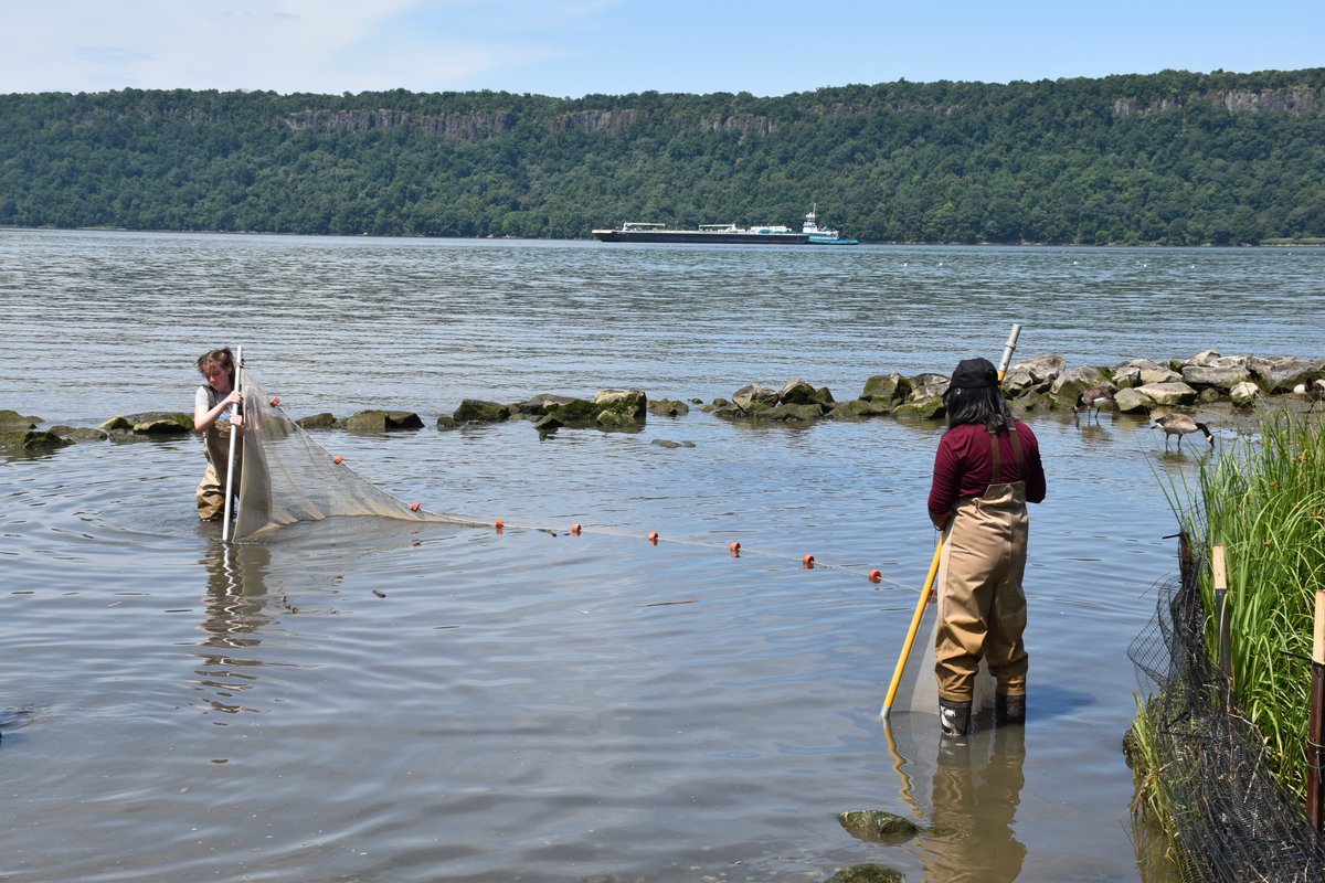 SLC CURB tweet media