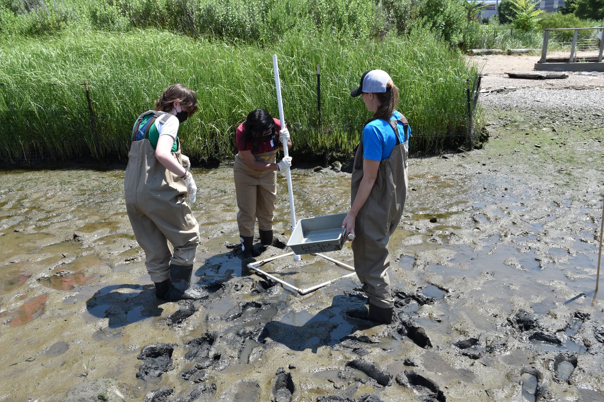 SLC CURB tweet media