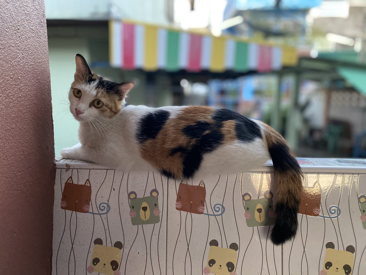 ♡ เม็ดทราย *﹆˚ ༘ tweet media