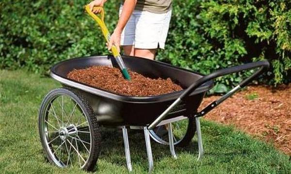 Creativ_Portal's tweet image. Рейтинг лучших садовых тачек 2022 👍
Садовая тачка способна облегчить огороднику полевые работы. Но при ее покупке важно учитывать грузоп #Новинки  #Садовые #Рейтинг #обзор

creativportal.ru/reiting-lychsh…