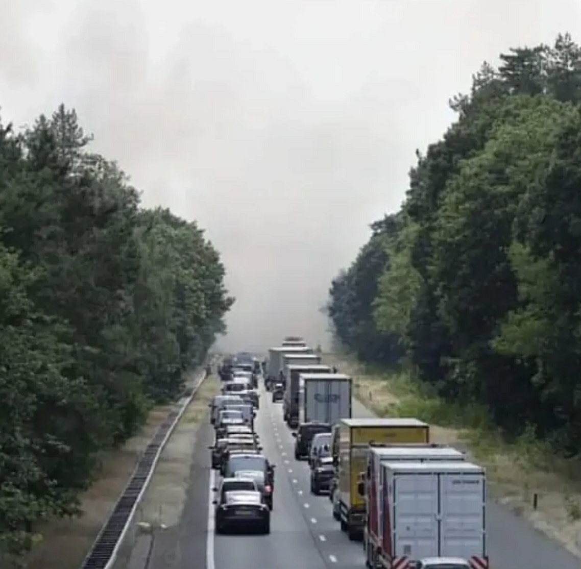 gem_nunspeet's tweet photo. Op dit moment is er een zeer grote natuurbrand naast de A28 bij Hulshorst. Denk om uw eigen veiligheid en ga niet kijken. Hulpdiensten hebben de ruimte nodig!
#natuurbrand #Hulshorst #A28 #Nunspeet #gemeenteNunspeet #geefhulpdienstenderuimte #brandweernunspeet #heidebrand https://t.co/9BebI9uLAd