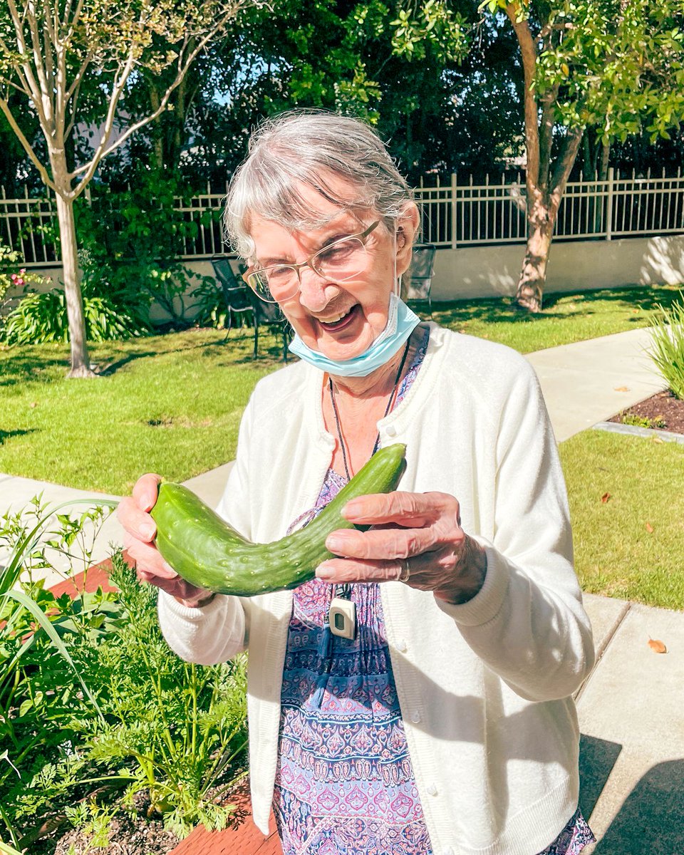 aegisliving's tweet photo. The garden at Aegis Living Shadowridge is blooming and growing some veggies! Residents are loving our evening garden walks! πͺ΄
#aegisliving #shadowridge #summer #seniorcare #assistedliving #garden #gardenwalks https://t.co/qLzRHpO1fB