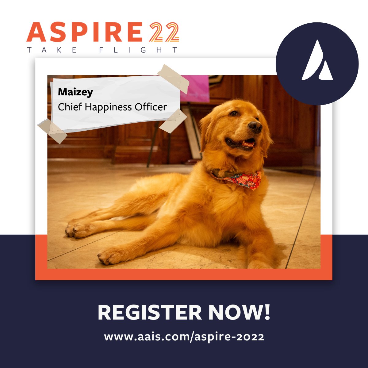 ASPIRE22 is around the corner! You can look forward to peer-led sessions, collaborative workshops, product roadmaps, and more. If that wasn't enough, Maizey is also so excited to see you all in person again!