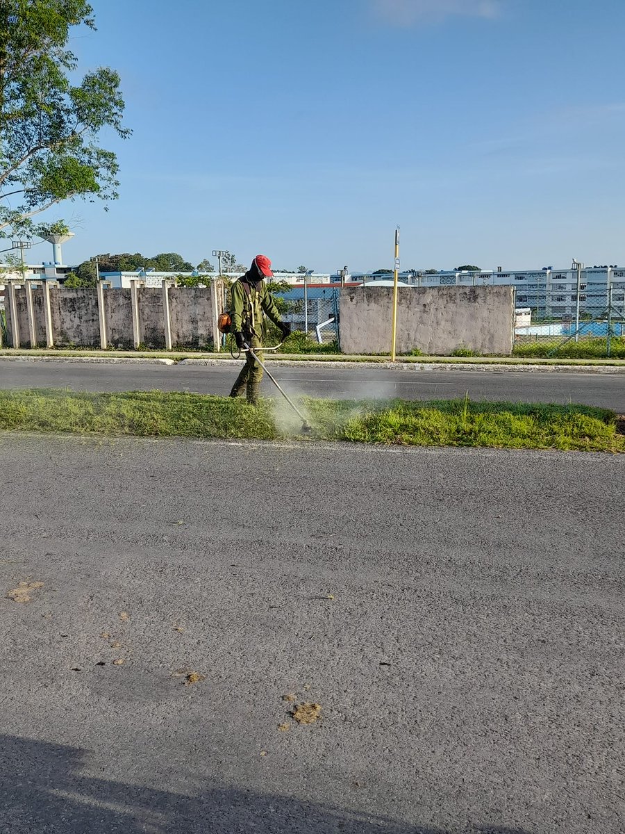 Liliam (@liliampinar) on Twitter photo Realizar acciones intensivas y extremar la vigilancia en #PinardelRío para eliminar los posibles criaderos de mosquito aedes aegypti es prioridad por <a href="/SaludDPinar/">Dirección General de Salud_Pinar Del Río</a>. Entre todos podemos lograrlo.
#CultivandoRevolución
#PorNuevasVictorias
#PinardelRioPorLaVida
#CubaPorLaVida Realizar acciones intensivas y extremar la vigilancia en #PinardelRío para eliminar los posibles criaderos de mosquito aedes aegypti es prioridad por <a href="/SaludDPinar/">Dirección General de Salud_Pinar Del Río</a>. Entre todos podemos lograrlo.
#CultivandoRevolución
#PorNuevasVictorias
#PinardelRioPorLaVida
#CubaPorLaVida