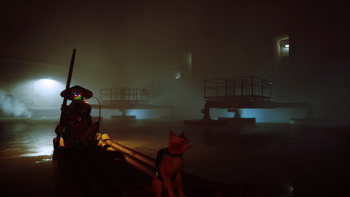 fran_libe's tweet photo. #stray  #gattaro #PS4share https://t.co/IMLnZtVaye