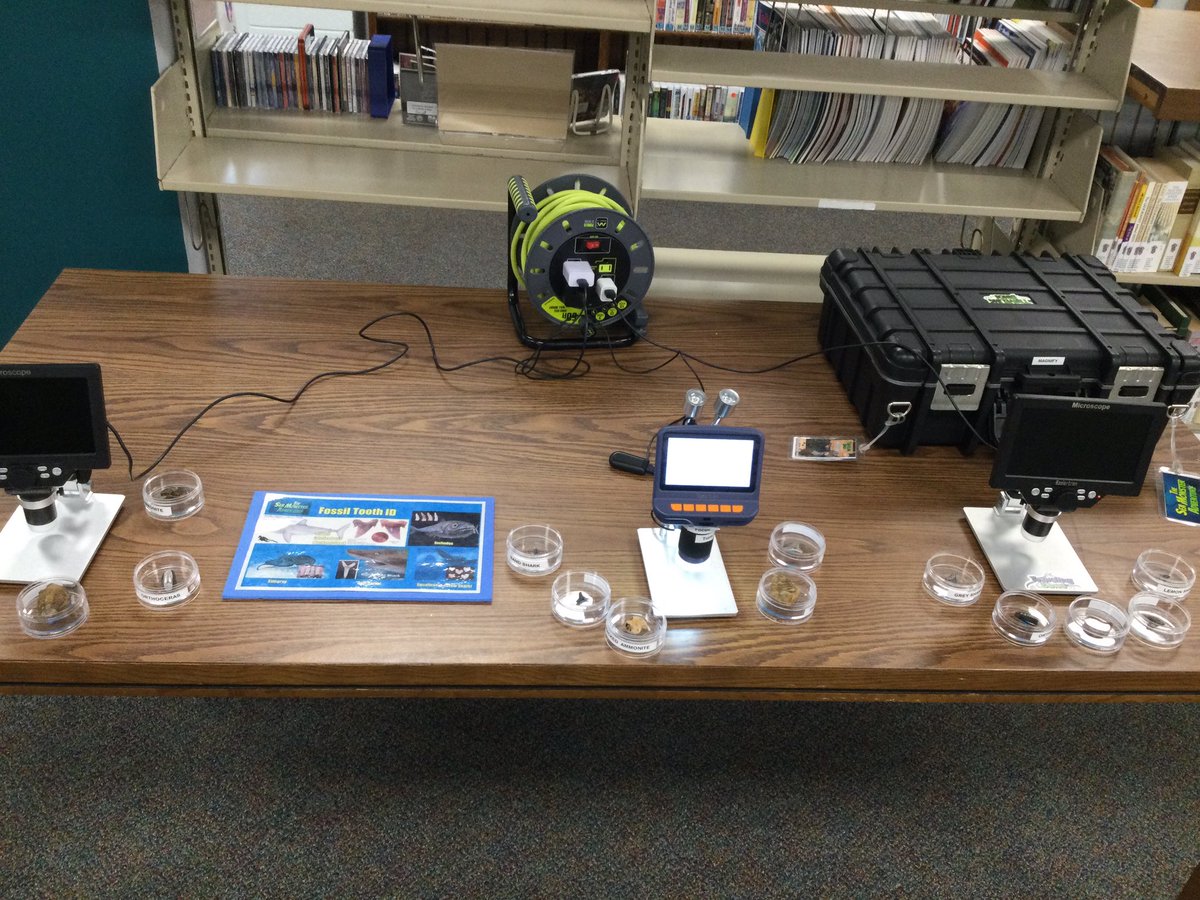 YadkinL's tweet photo. (1/2) We enjoyed having Mark Daniel for The Sea Monster Adventure! We got to look at models, and dig for sharks teeth to take home!#oceansofpossibilities #markdaniel #missionexplore #theseamonsteradventure #seamonsteradventure https://t.co/JtvVZcmYFd