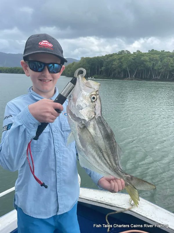 fish_tales's tweet photo. River fishing in July
#duskyflathead #riverfishing #russellrivernationalpark #flathead #theFNQway #popperfishing🐟🐟🐟 @queensland #falsetrevally #russellriver #fishtalescairns #guidedriverfishing #MulgraveRiver #cometocairns2022 #bluethreadfin #adventurefishingcairns #gofishing https://t.co/sTLYgFAbv2