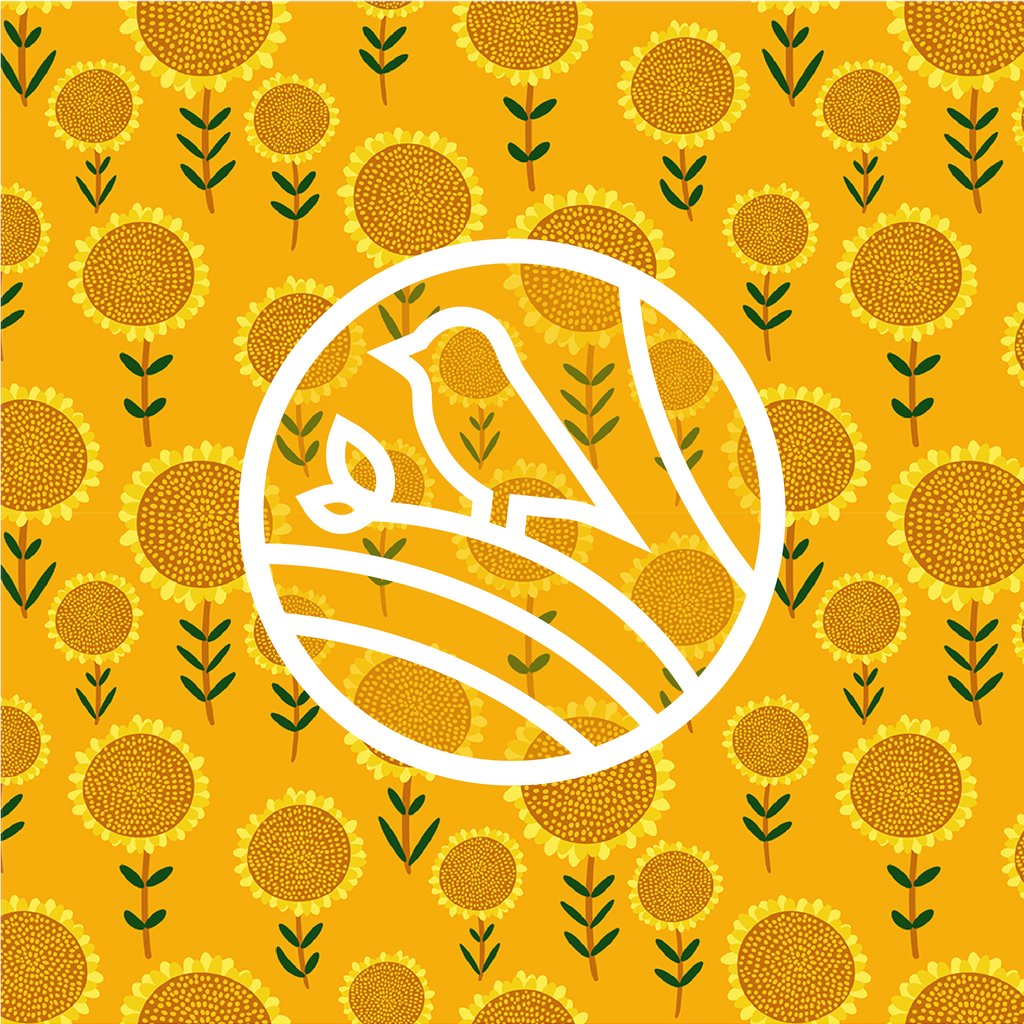 YBFS now has SUNFLOWER bouquets from @ohio_cutflower_collective ! Wrapped in a brown paper sleeve, each bunch comes with eight perfect flowers grown in Ohioan soil. Summer is in full bloom; enjoy her harvest while it lasts! 🌻🐥🌻 bit.ly/ohiosunflower