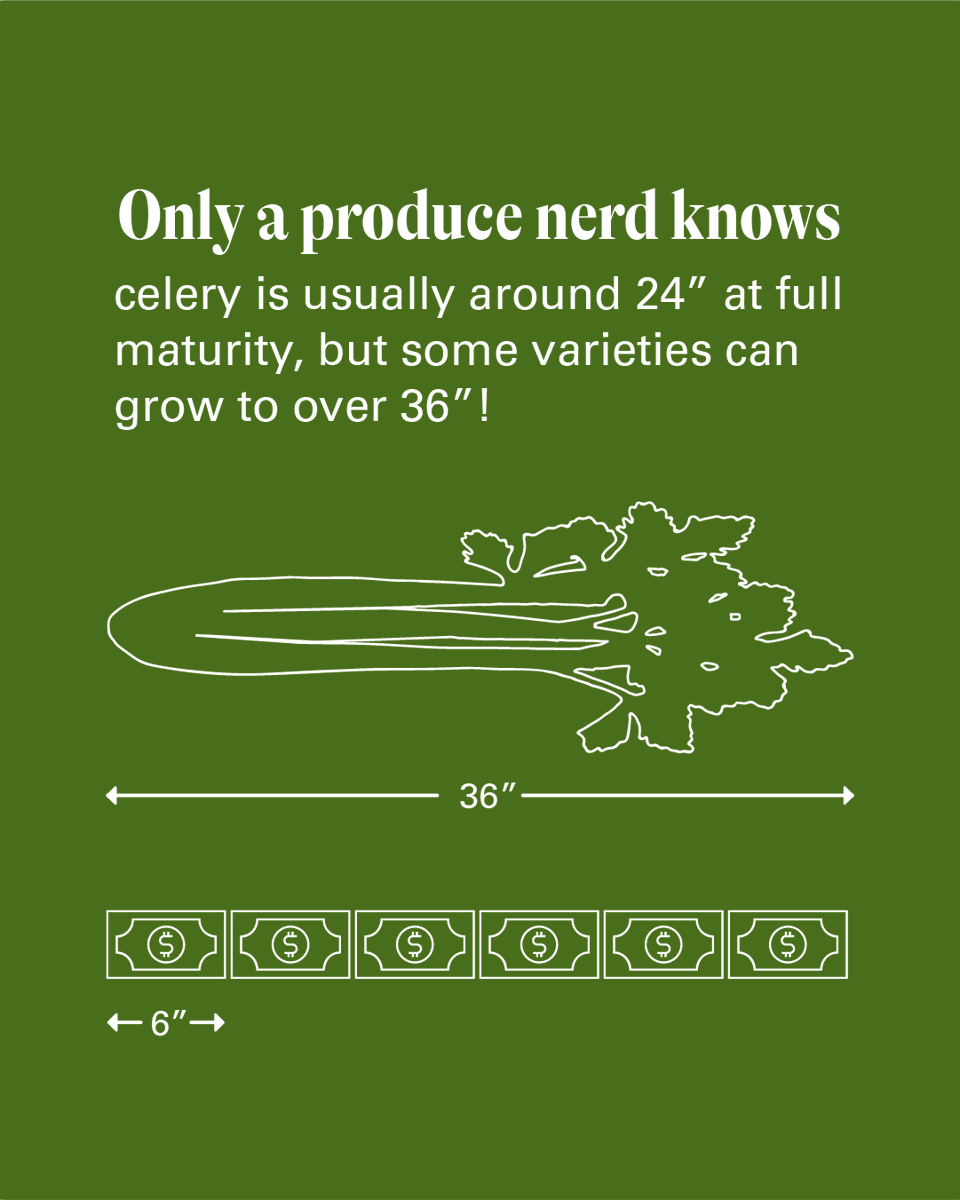 Evolution Fresh tweet media