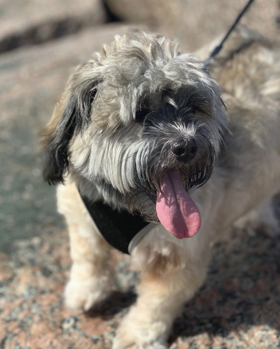 mike_hudson11's tweet image. 